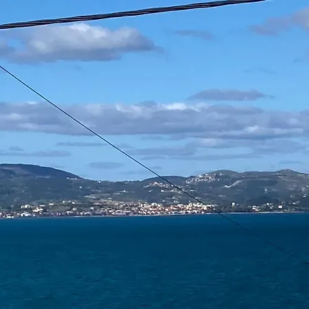 Angeliki Apartment Lassi (Kefalonia)