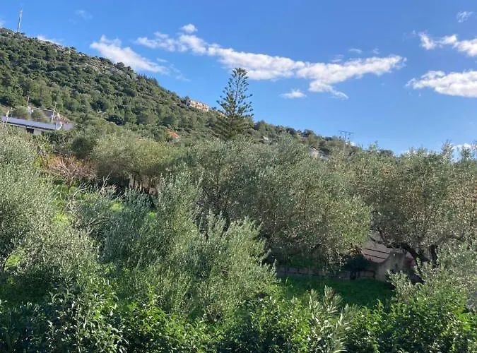 Angeliki Lassi (Kefalonia)